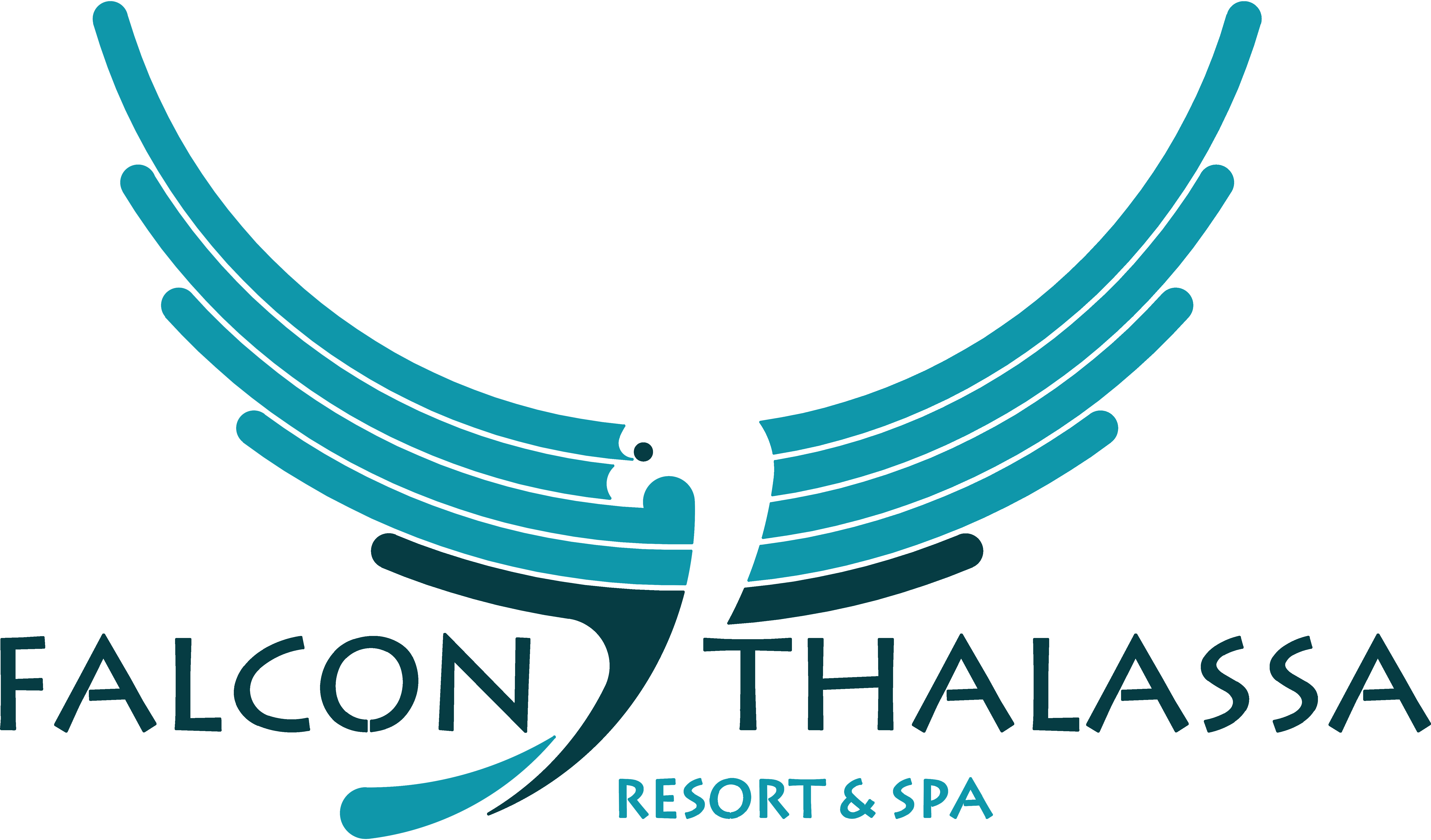 Hôtel Falcon Thalassa